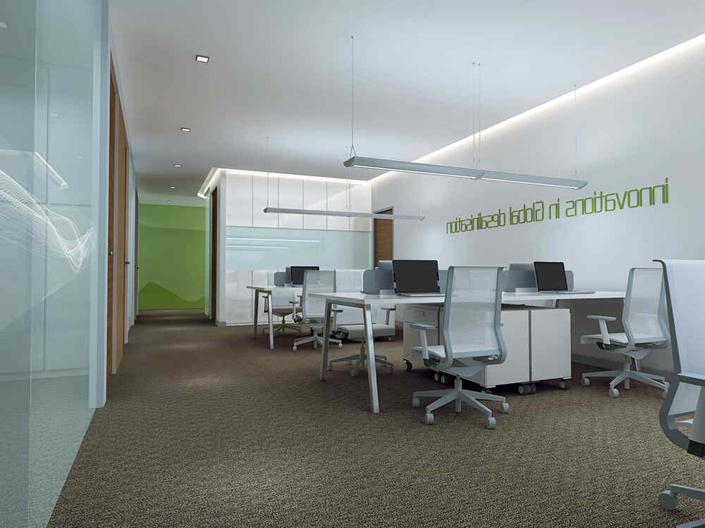 办公室去除油漆味的方法