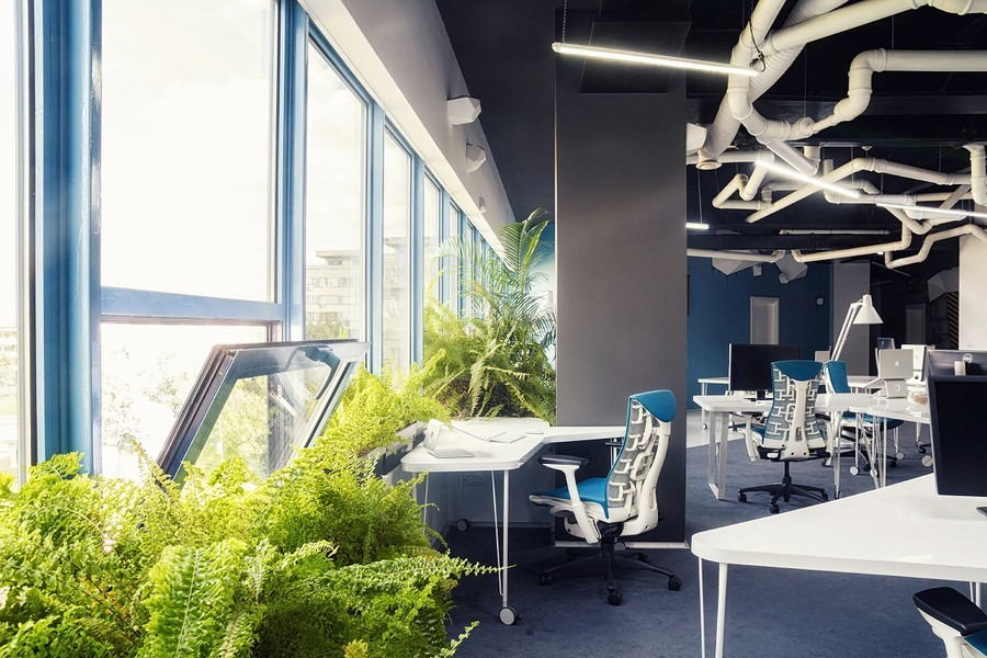 办公室放花风水