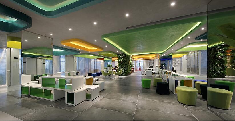 办公室旺财的六种风水植物